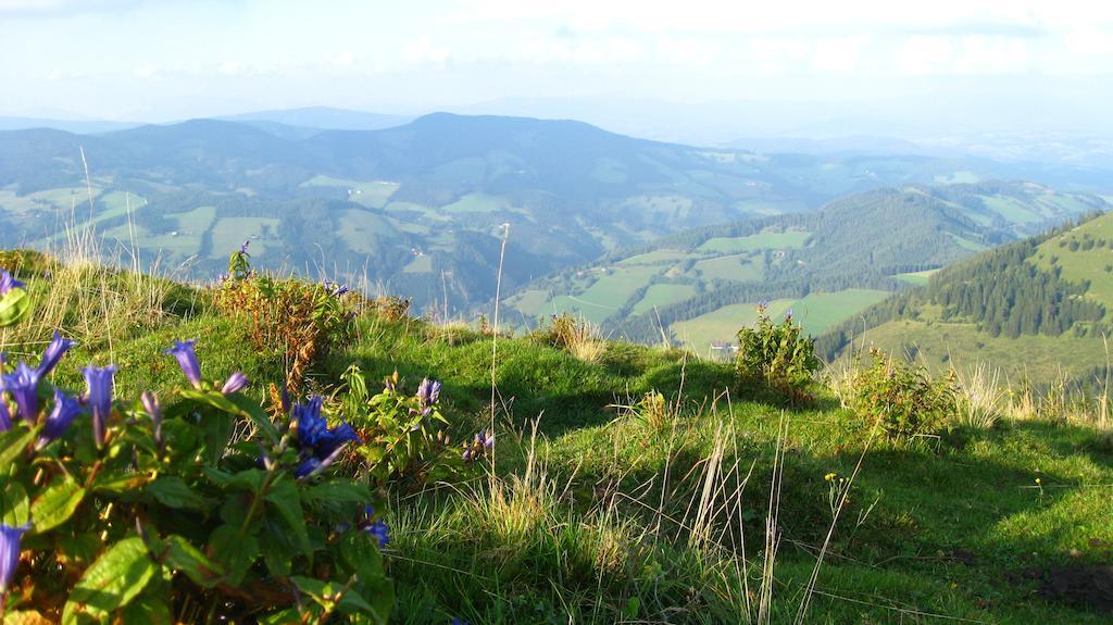 Gasthof Unterberger Sankt Kathrein am Offenegg Extérieur photo