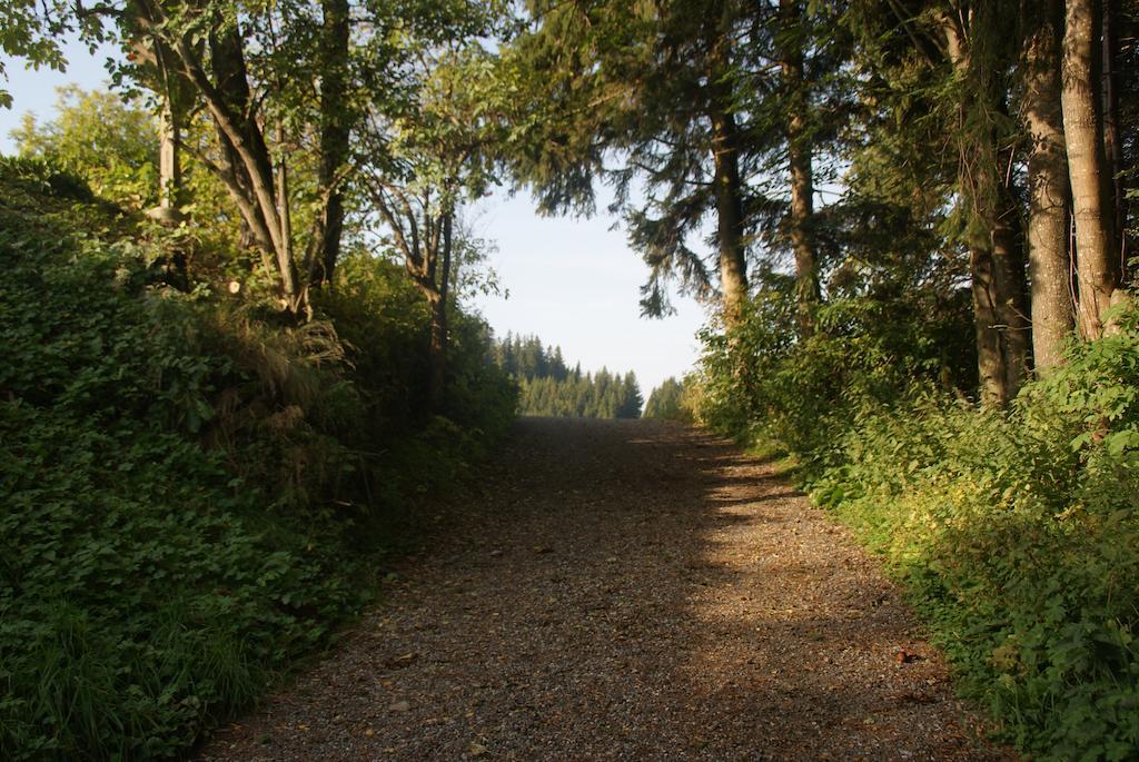Gasthof Unterberger Sankt Kathrein am Offenegg Extérieur photo